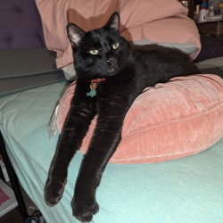 Max